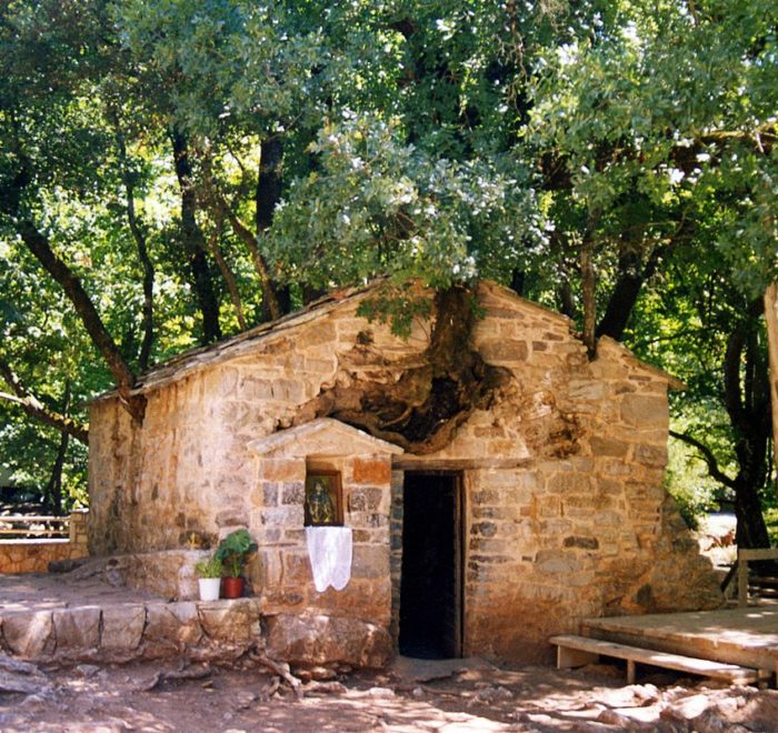 Πολυήμερες εκδρομές με πούλμαν