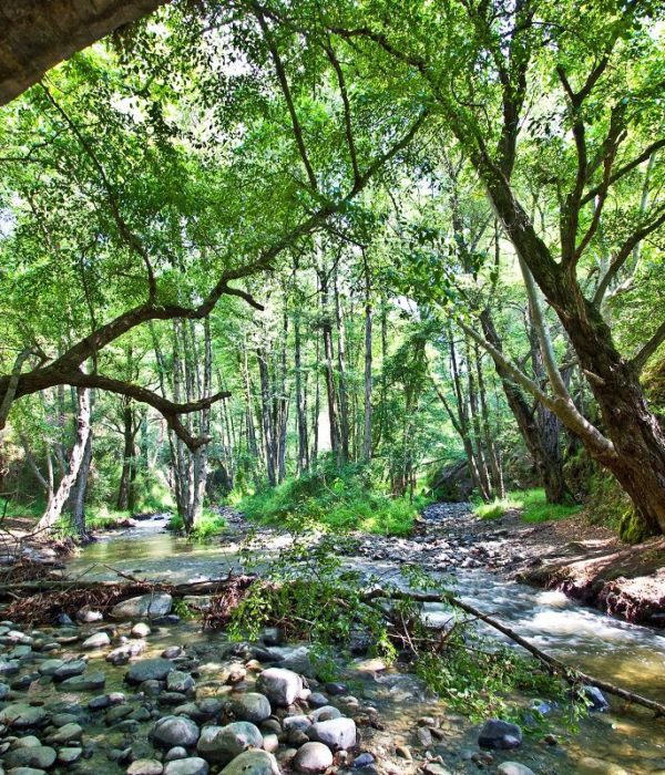 Μονοήμερη Εκδρομή Καστόρειο