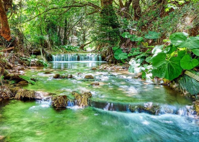 Μονοήμερη Εκδρομή Παύλιανη