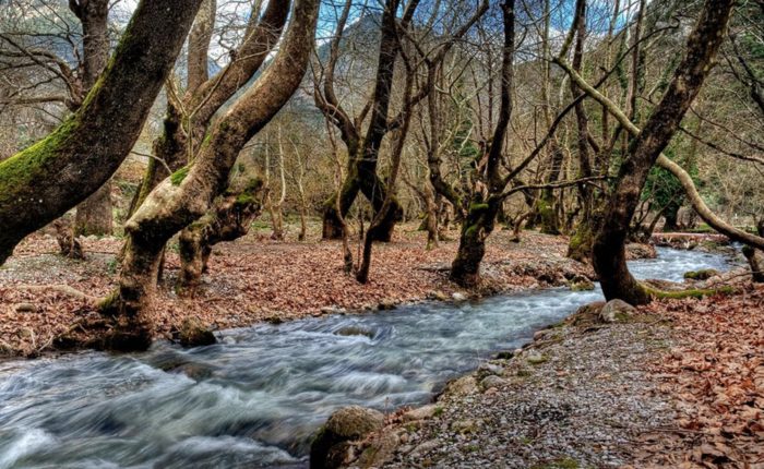 Kalavryta Escursione di un giorno.