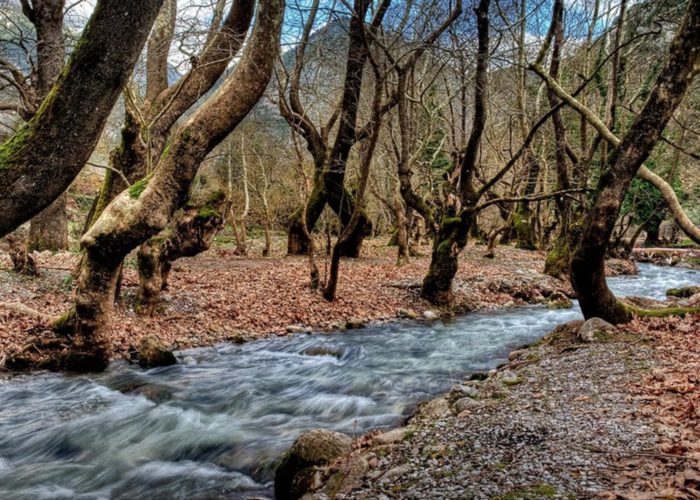 Μονοήμερη Εκδρομή Καλάβρυτα.