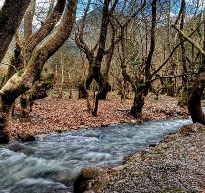 Excursion d'une journée à Kalavryta.