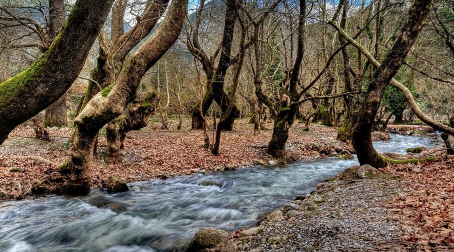 Excursion d'une journée à Kalavryta.