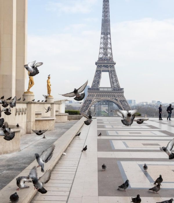 Escursione Parigi 28 ottobre