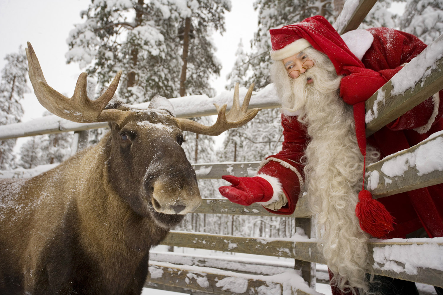 Reise nach Lappland zu Weihnachten 2023