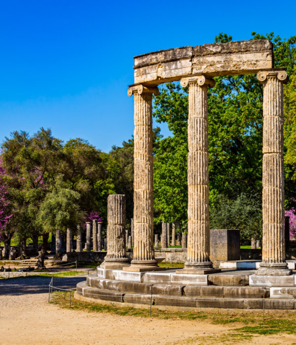 Escursione nell'antica foresta di Olympia Foloi