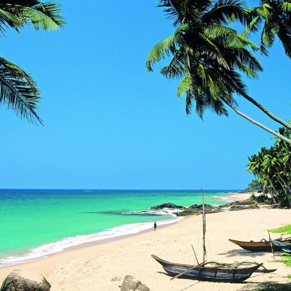 Excursion to Sri Lanka and Maldives