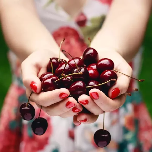 Escursione a Platanos Kynouria e Cherry Festival