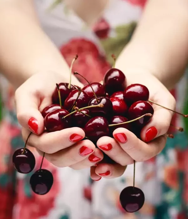 Экскурсия на фестиваль Platanos Kynouria и Cherry Festival