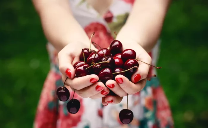 Экскурсия на фестиваль Platanos Kynouria и Cherry Festival