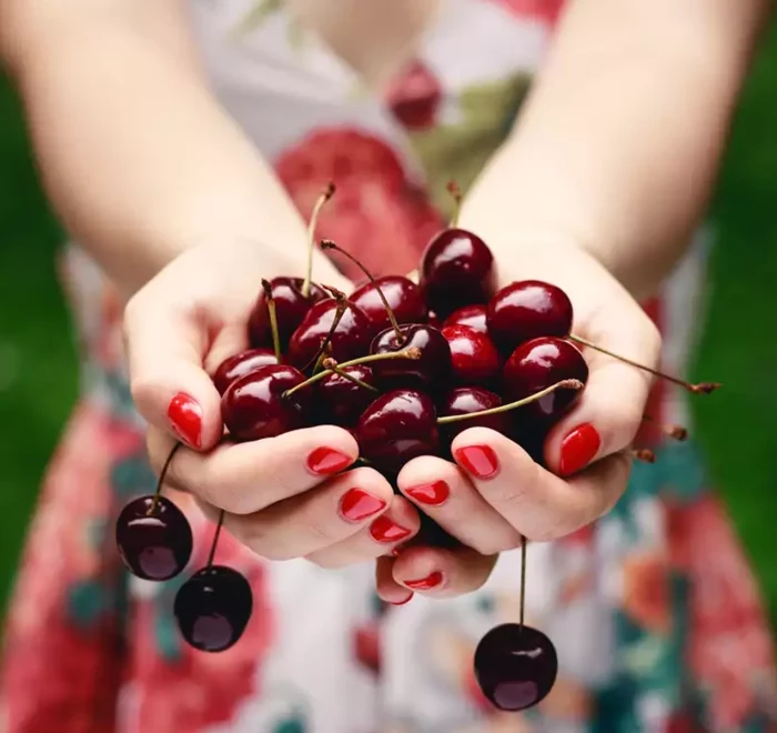Excursion à Platanos Kynouria et Cherry Festival