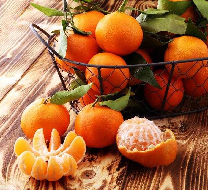 Excursion Drepano Argolida - Mandarin Festival