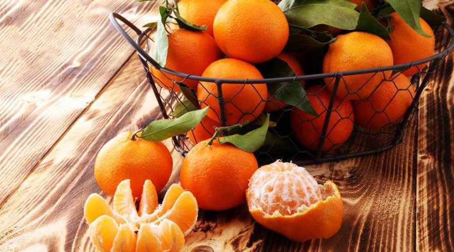 Ausflug Drepano Argolida - Mandarin-Festival